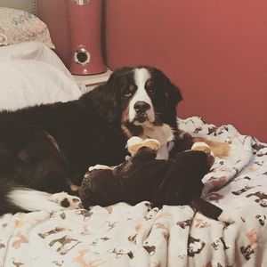 Meet your Posher, Joann